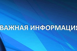 Дачный маршрут «Российская – Ветеран» продолжит работу