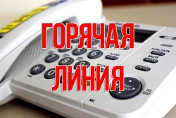О проведении «горячей линии» на тему «Продали алкоголь и пиво ночью – сообщи!» на территории муниципального образования «город Усть-Кут»