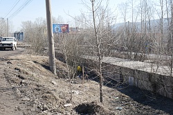 МЫ ВСЕ В ОТВЕТЕ ЗА ЧИСТОТУ В ГОРОДЕ